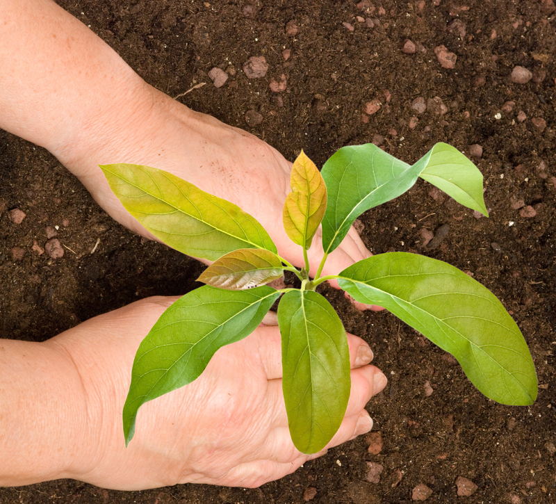 garden care Garden