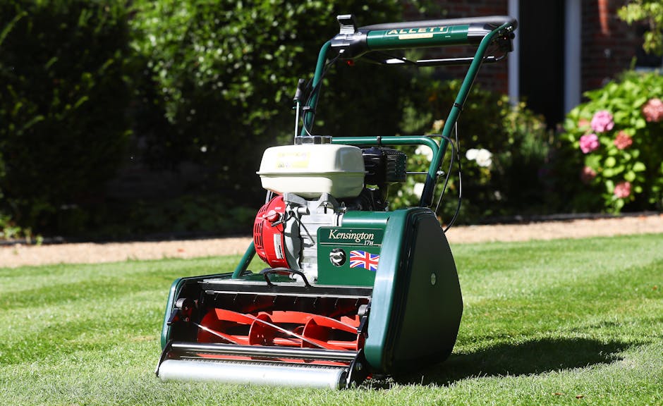 A green petrol-powered lawn scarifier with a white engine cover and red internal blades, positioned on a neatly mowed lawn in a garden. The scarifier has a handlebar for operation and is decorated with a small Union Jack sticker along with the label 'Kensington.' The background features a flower border with pink hydrangeas, lush green bushes, and a paved pathway, under sunlight indicating clear weather. The environment is well-maintained, reflecting outdoor garden care and lawn maintenance activities performed by Gardeners Kensington, visible through the tidy grass and organized garden layout.