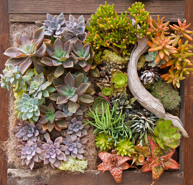 lawn maintenance Garden