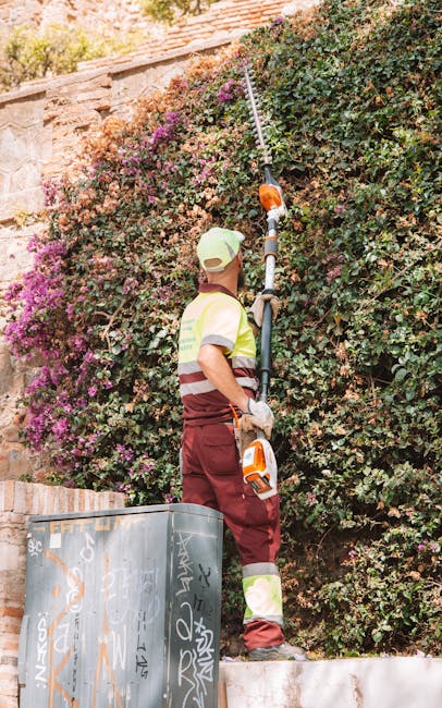 A gardener wearing a light-colored cap, a high-visibility vest, and maroon work trousers is trimming a tall, dense hedge with long, extendable gardening shears. The hedge consists of lush green foliage interspersed with vibrant pink and purple flowers, indicating a flowering shrub. The worker stands on a slightly raised stone or concrete retaining wall, with a large black plastic trash bin nearby, which is covered in graffiti and used for garden waste collection. In the background, a weathered brick wall runs horizontally, behind the hedge, with parts of the garden's foliage visible beyond. The scene is outdoors, under natural daylight, highlighting the textures of the wet soil, trimmed leaves, and the rough surface of the brick and stone. This outdoor garden maintenance activity aligns with the themes of hedge trimming, outdoor landscaping, and garden care, and is associated with the services offered by Gardeners Kensington, featured on their website page about hedge cutting costs.